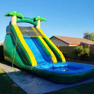 Loved the palm tree water slide
