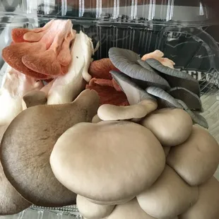 mixed batch container