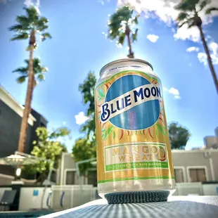 Poolside