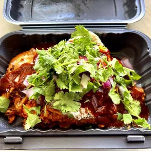Birria enchiladas special