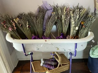 Life Under the Oaks Lavender Manor