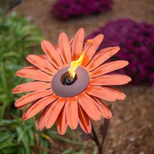Nature is loaded up with prized symbols that hold an uncommon spot in the heart.