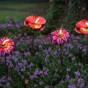 Steel sculptures, yard torches, birdfeeders, and luminaries in botanical shapes. Perfect for your xeriscape plan.