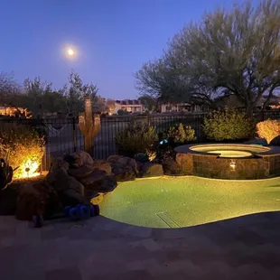 Outdoor art ideal for patio, poolside or landscape. Metal cactus, trees, succulents, and flowers are no-maintenance and weather-resistant.