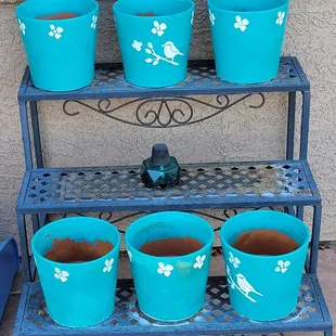 Donated pots and plant stand.
