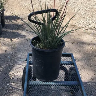 Got one