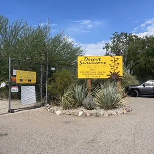 I&apos;m here for all the plants.