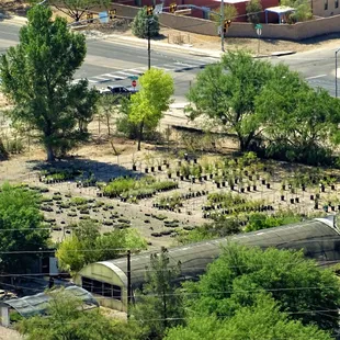 View of Desert Survivors from Sentinel Peak.
