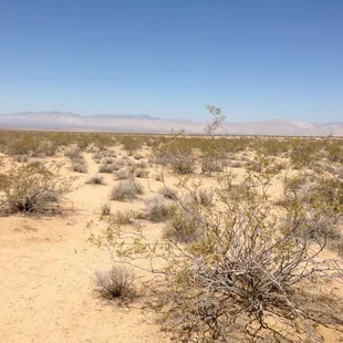 Desert