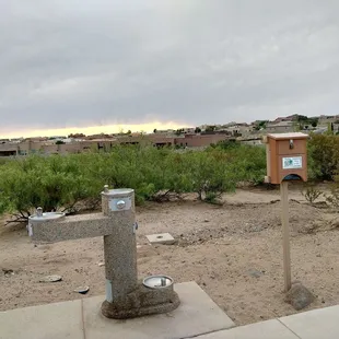 Dog friendly area.
