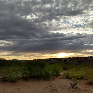 Sunset