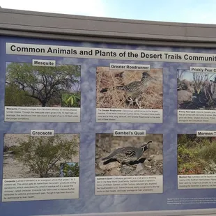 Natural inhabitants