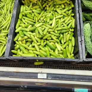 a display of vegetables