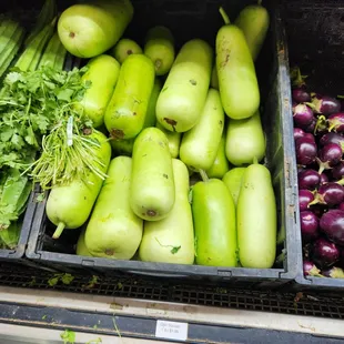 a variety of vegetables