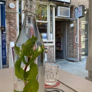 Water with mint leaves