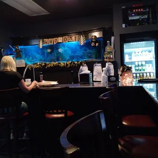 Cool big fish tank