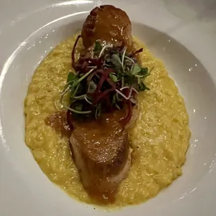 Scallops
