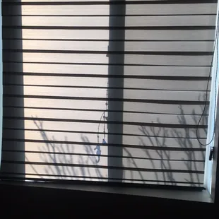 Lafayette Allure Shade