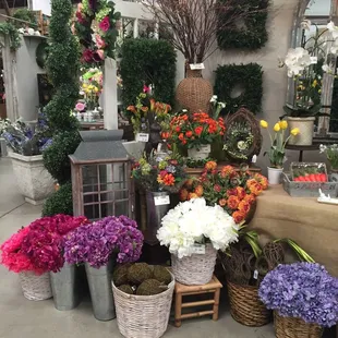 Beautiful flowers