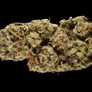 Cannabis Dispensaries