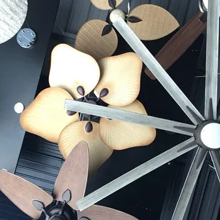 Indoor and outdoor ceiling fans at Designers Mart 6960 Gateway East