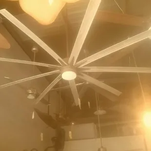 It&apos;s getting hot. Come see our variety of fans in our lighting showroom.