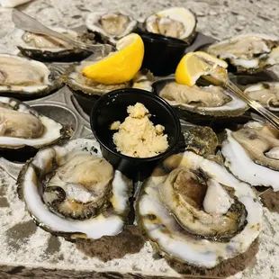 Gulf Oysters