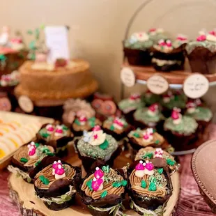 food, cupcakes, dessert