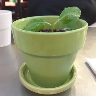 Tiramisu Pot
