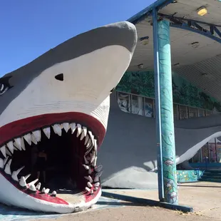 Entrance through shark's mouth