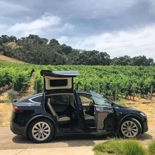 Rolling green with tesla during the wine tours
