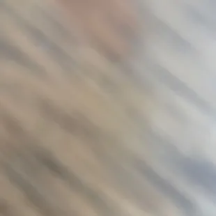 Follow Instagram Landonsweenz1205