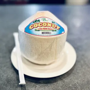 a piece of coconut ice cream on a plate