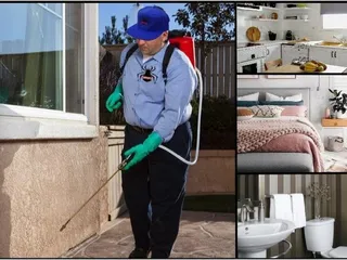 Villalobos Pest Control