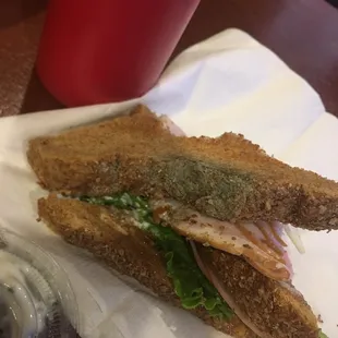 My moldy sandwich AFTER it got sent back to the kitchen