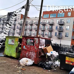 Rats and Birds eating from the overflowing dumpsters Sad
