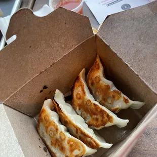 Chicken Dumplings Samosas