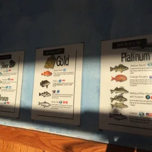 Detroit Shrimp & Fish