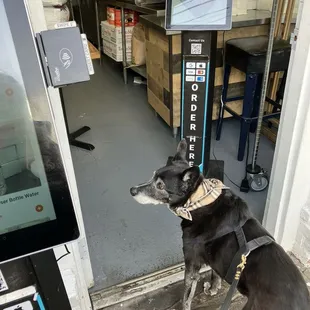 Waiting to place an order ! (Quick service )