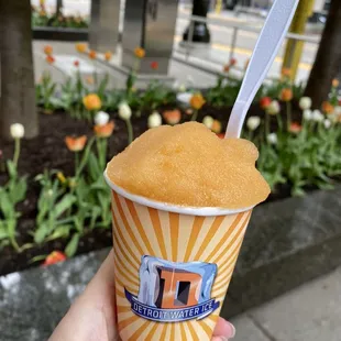 Half mango, half peach