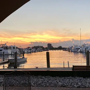 The view from the patio