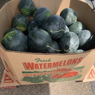 a box of watermelons