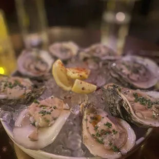 Oysters