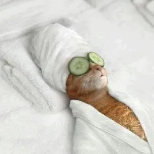 Do you need a break? Let me help!