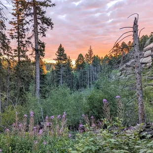 Instagram: @telephonesmoothie