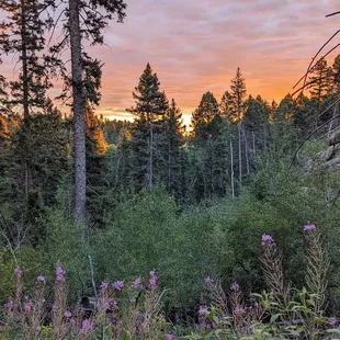 Instagram: @telephonesmoothie