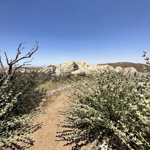 Some places along the loop walk