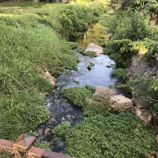 a small stream running through the park
