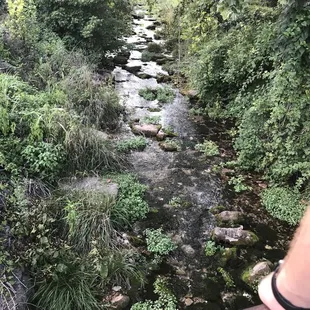 outside, soups and chowder