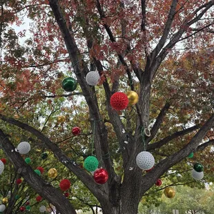 Decorations for Christmas